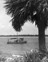 Apalachicola Fish and Oyster Company oyster boat "Mary Ann" heading out to work - Apalachicola, Florida.