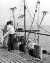 Apalachicola Fish and Oyster Company workers putting oyster tongs on boat - Apalachicola, Florida.