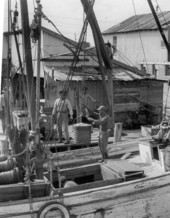 Apalachicola Fish and Oyster Company workers unloading seafood from boat - Apalachicola, Florida.