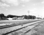 Railroad tracks : Bushnell, Florida