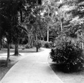 Garden walk - Fort Myers, Florida