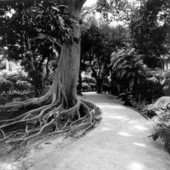 Garden walk - Fort Myers, Florida