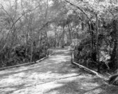 Trails at the park - Thonotosassa, Florida