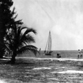 Sailboating in Miami, Florida