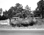 Picnic area - Panacea, Florida