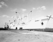 Huge tanker ship docked in Tampa, Florida