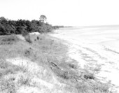Yent Bayou of Winter Haven beach