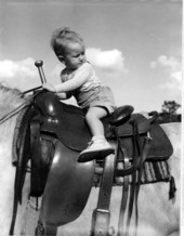 Dwight Dowell sits upon a horse at the rodeo - Lakeland, Florida