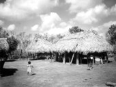Seminole village on Tamiami Trail