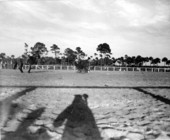 Cowboy attempting to rope a calf - New Smyrna Beach, Florida.