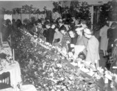 Spectators examining the single blooms on display at the camellia show - Jacksonville, Florida.