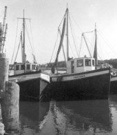 Shrimp boat fleet - Saint Augustine, Florida
