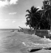 Sea-wall in Key West.