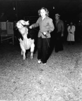 Young Mary Edna Jackson with her grand champion steer - Ocala, Florida