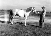 Bontoc with horse trainer - Ocala, Florida