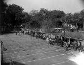 View of the shuffleboard courts - Saint Petersburg, Florida