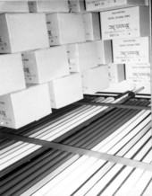 Packaged strawberries - Plant City, Florida