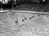 Water ballet of Wally Spence School of Swimming - Miami Beach, Florida