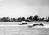 Biscayne Bay regatta