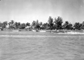 Biscayne Bay regatta