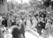 Large crowd gathered for Tarpon Springs' Epiphany celebration - Tarpon Springs, Florida