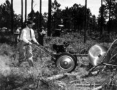 Lother mechanical pulpwood saw demonstarted at Tree Farm Program to log tree and trim log - Taylor County, Florida.