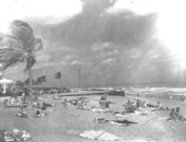 Windy day at Miami Beach.