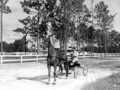 F.W. Truex and his horse, Red Eagle - Orange Park, Florida
