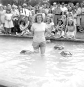 Young woman in pool participating in the watermelon eating contest at the watermelon festival - Leesburg, Florida