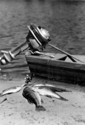 Fishes and fishing equipment at Dead Lake - Dead Lakes, Florida