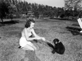Frances Freeman having a "tug of war" with Joe - Kendall, Florida