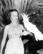 Frances Freeman poses with a cockatoo - Kendall, Florida