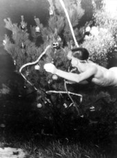 Diver Johnny Green puts the finishing touches on underwater Christmas tree..