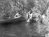 Alton Smith and Al Zaebst loading captured alligator into their canoe - Weeki Wachee River, Florida