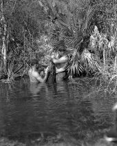 Alton Smith and Al Zaebst securing captured alligator - Weeki Wachee River, Florida
