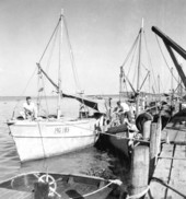 Oyster boats at dock - Apalachicola, Florida.