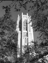View of Bok Tower - Lake Wales, Florida