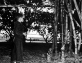 Young "Bunny" Uman looks over bamboo prior to selecting a fishing pole - Tampa, Florida.