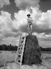 James M. Spears chains a sled to a peanut stack for hauling - Holmes County, Florida