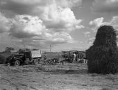 Peanut picking machine on Spears farm - Holmes County, Florida