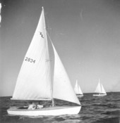 Florida Sailing Association Armistice Day regatta