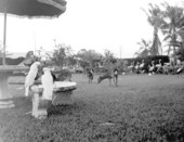 Outdoor cafe for rare birds and animals - Kendall, Florida