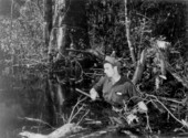 Girdler Jimmy O'Connor wades to the next cypress tree in the swamp - Copeland, Florida