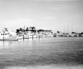 Clearwater marina and yacht basin