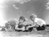 George Rast and Artie Key pulling a "Siamese" watermelon - Leesburg, Florida