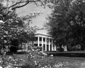 View of the Florida Governor's Mansion seen through trees - Tallahassee, Florida.
