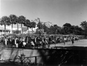 Players at the shuffleboard courts - Saint Petersburg, Florida