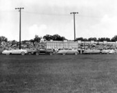 Live Oak's Tobacco Festival - Live Oak, Florida