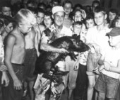 Greased pig contest at Live Oak's Tobacco Festival - Live Oak, Florida