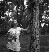 Martha Green and air plants - Sebring, Florida .